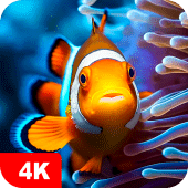 Fish Wallpapers 4K Apk