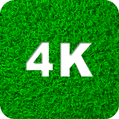 Green Wallpapers 4K Apk