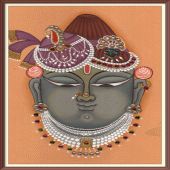 Shri Yamuna shrinathji mantras Apk