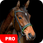 Horse Wallpapers PRO Apk