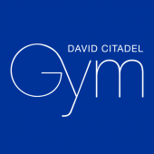 DAVID CITADEL GYM Apk