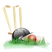 Tez Shots Cricket Game Apk