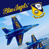 Blue Angels: Aerobatic Flight Simulator Apk