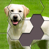 Hexa Jigsaw Puzzle ® Apk