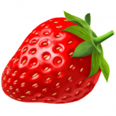 Fruits 野菜と果物 Apk