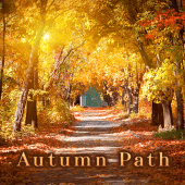 Autumn Path Theme +HOME Apk