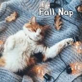 Fall Nap Theme Apk