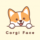 Corgi Face Theme +HOME Apk