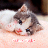 Feline Sight Theme Apk