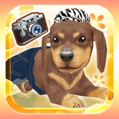 My Dog My Room Free Apk