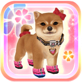 My Dog My Style Apk