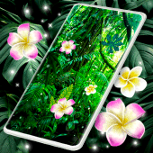 Palm Jungle Live Wallpaper Apk