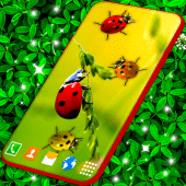 Cute Ladybug Live Wallpaper Apk