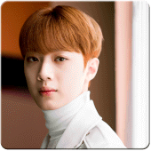 Lai Kuan Lin Wallpapers Apk