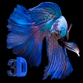 3D Betta Fish Live Wallpaper Apk