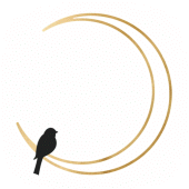 Moonbird Yoga Apk