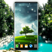 Tree Forest Live Wallpaper Apk