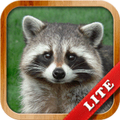 Animals for Kids Apk