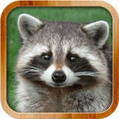 Kids Learn About Animals Apk