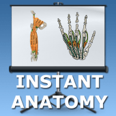 Limb Lectures in Anatomy Apk