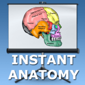 Head and Neck Lectures Apk