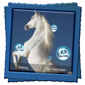 Horses Live Wallpaper Apk