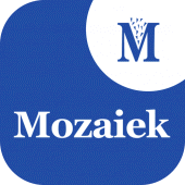 Mozaiek Vlaardingen Apk