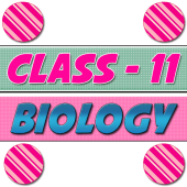 Class 11 Biology NCERT Solutions Apk