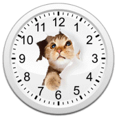 Cats Analog-Clocks Widget Apk