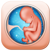 Pregnancy Care Healthy Diet & Nutrition Foods Help Apk