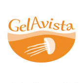 GelAvista Apk