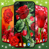 3D Red Rose Live Wallpaper Apk