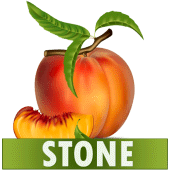 Stone Diet Renal Gall Bladder  Apk