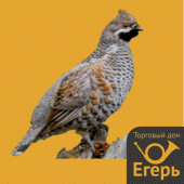 Decoy Grouse - Huntsman Apk