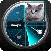 Radar What Makes Cat Joke Apk