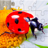 Insect Jigsaw Puzzle Game Kids Apk