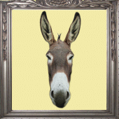 Donkey Prank Mirror Apk