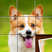 Shape Sort - jigsaw puzzle Apk