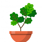 Terrarium: Garden Idle Apk