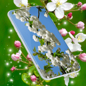 Cherry Blossom Live Wallpaper Apk