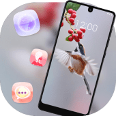 Animal cute bird eating fruits theme Apk