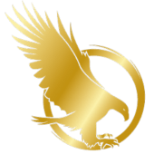 Falcon 19 Apk