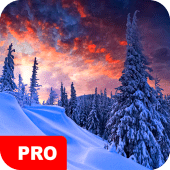 Winter Wallpapers PRO Apk